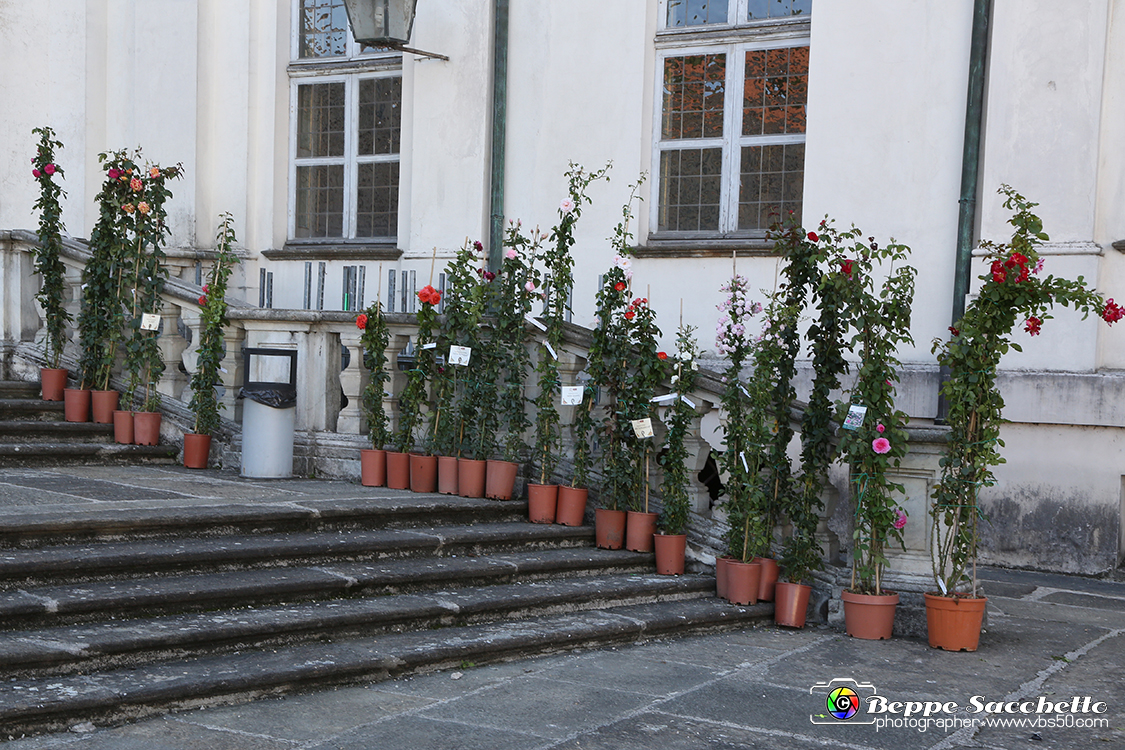 VBS_2415 - FloReal 2021 alla Palazzina di Caccia di Stupinigi.jpg